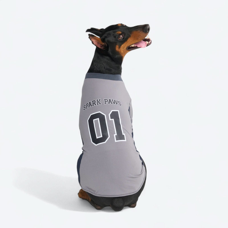 Maglia da calcio in rete - Grigia
