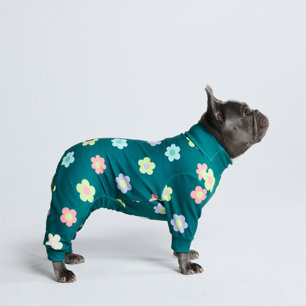 Pyjama pour chien - Fleurs Vert