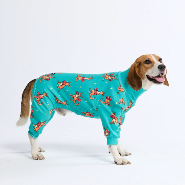 Pijama para Perro - Canguro Boxeo - Azul