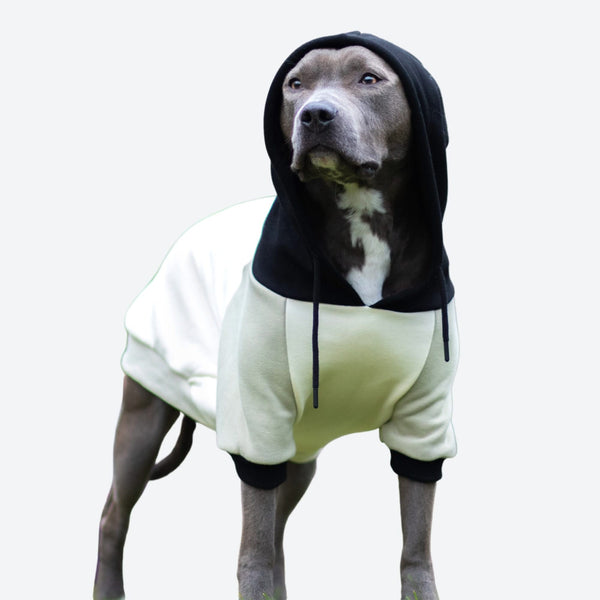 Pull à Capuche Pour Chien - Crème d'olives