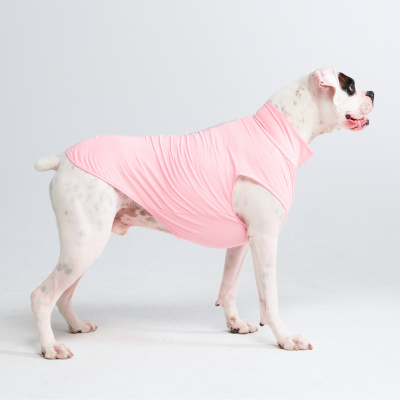 Camiseta para perro con bloqueador solar - Rosa
