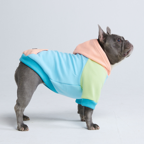 Jelly Bean Hoodie pour Chien