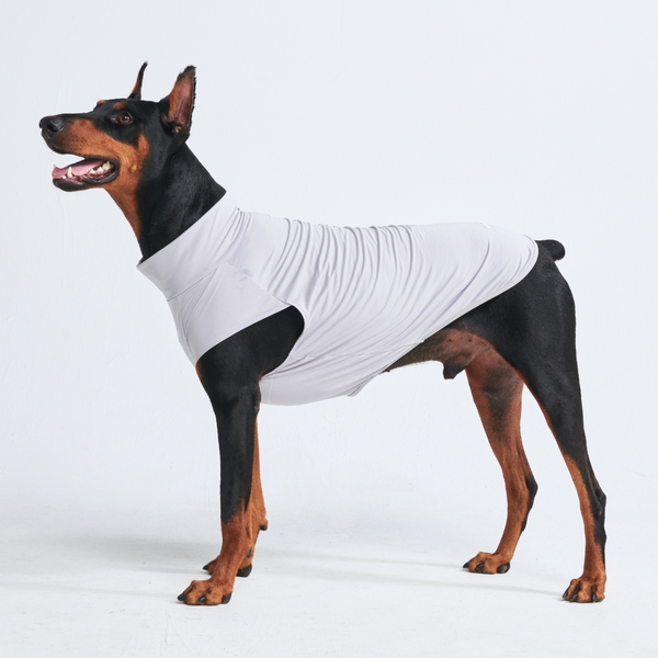 T-shirt pour chien avec écran solaire - Gris