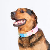 Pastel Icing Collar