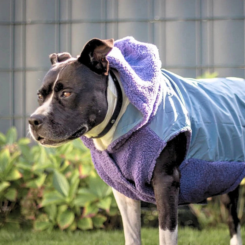 Chaqueta reversible - Morado y azul