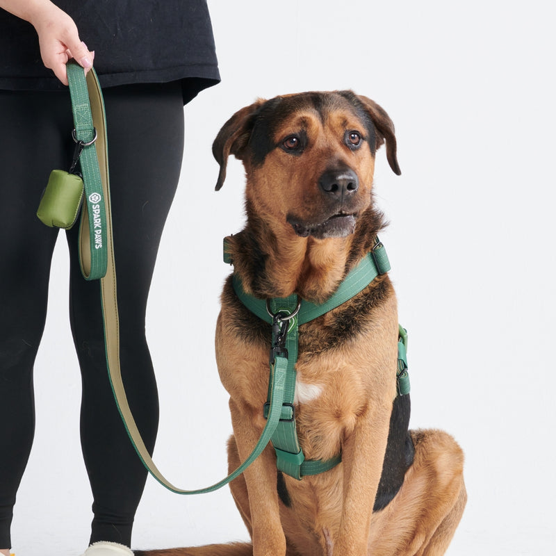 Set di imbracatura per cani Comfort Control No-Pull - Verde Militare