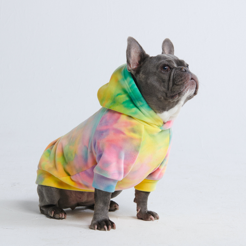 Velvet Dog Hoodie - Groove