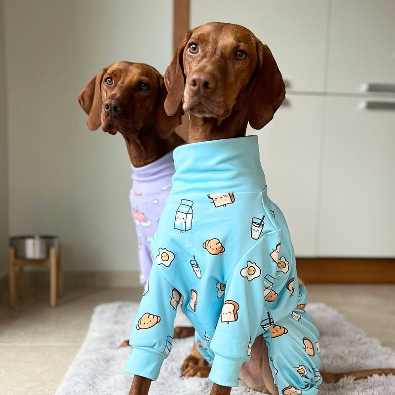 Dog Pajama - Breakfast Blue