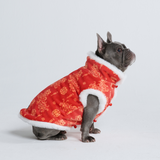 Year of the Dragon Dog Vest (Limited Edition)