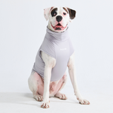 Camiseta para perro con bloqueador solar - Gris