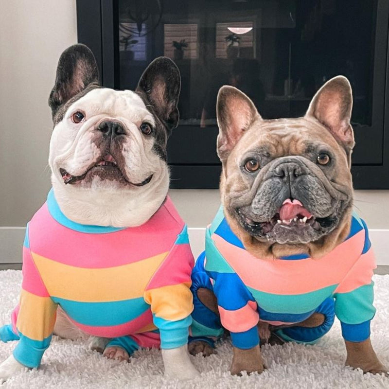 犬のパジャマ - イエロー ブルー ピンク