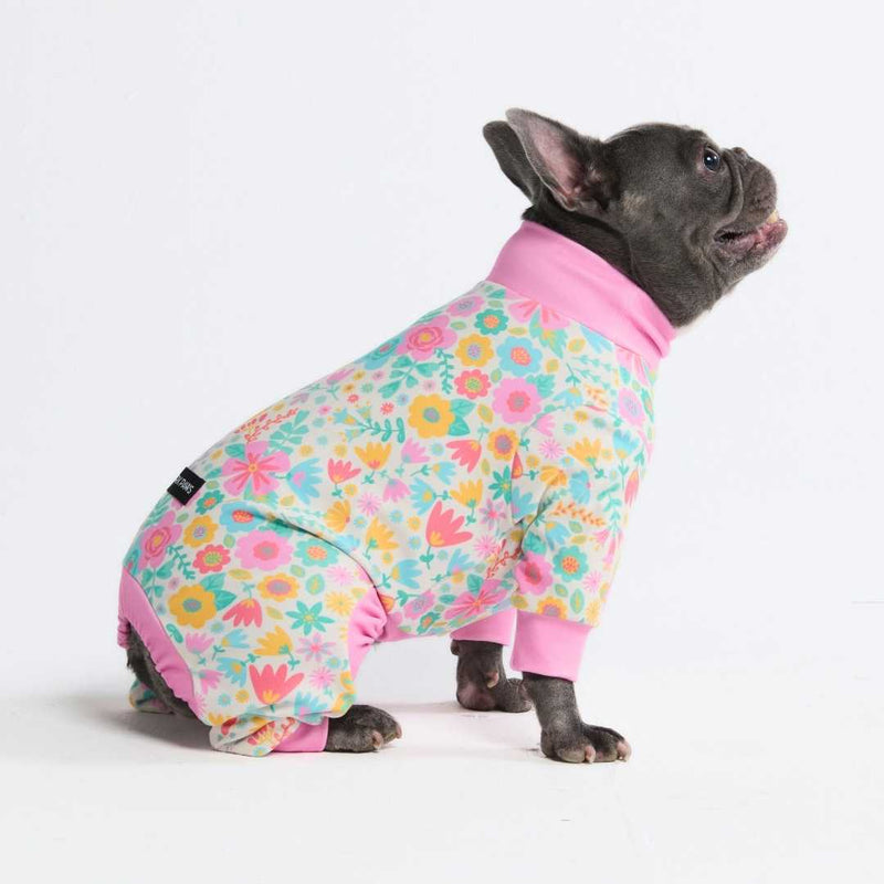 Pyjama pour Chien - Prés