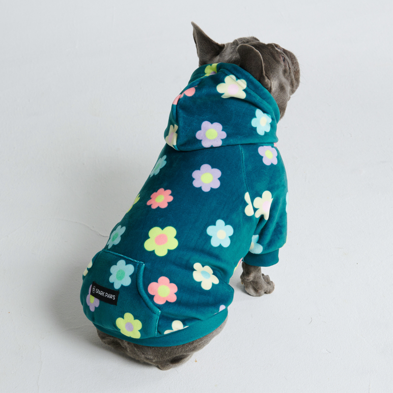 Daisy Hoodie pour Chien - Vert