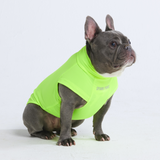 T-shirt pour chien avec écran solaire - Néon