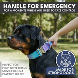 Collar táctico para perros - 90s Retro