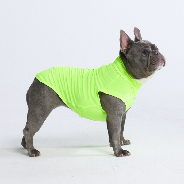 T-shirt pour chien avec écran solaire - Néon