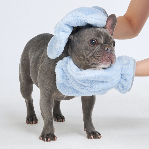 Guante de toalla para perros
