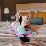 Pyjama pour chien - Jaune Bleu Rose