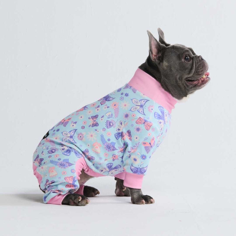 Pyjama pour Chien - Papillon