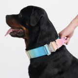Conjunto de collar táctico para perros - Pastel Icing