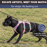 Pastel Icing Escape Proof||size:1,2,3,4,5