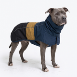 Dog Raincoat - Blue Gold Black||size:4XL