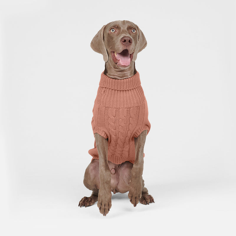ケーブル編みの犬用セーター - 茶色