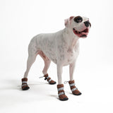 Stivali per cani resistenti all'acqua con struttura flessibile - Marrone