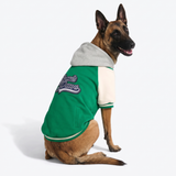 Green Varsity Jacket||size:3XL