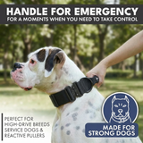 Collar táctico para perros - Negro