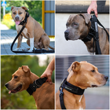 Collar táctico para perros - Negro