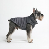 Black PuffShield Jacket||size:S,M