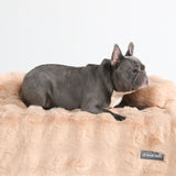 Calming Fluffy Couch Cover Dog Bed - Beige