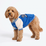 Blue Varsity Jacket||size:M