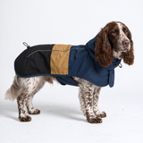 Dog Raincoat - Blue Gold Black||size:L