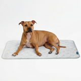 Hearts Grey||size:L