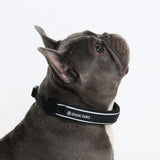Black Martingale Collar||size:A,B