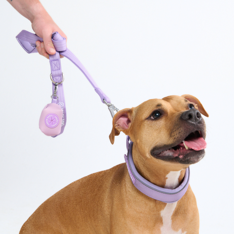 Lilac Collar||size:C,D,E