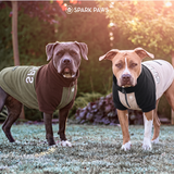 Brown Olive Plush Fleece Dog Sweater||size:S,M,L,XL,2XL,3XL,4XL