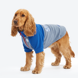 Royal Blue Plush Fleece Dog Sweater||size:XL