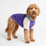 Purple Varsity Jacket||size:3XL