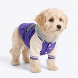 Purple Varsity Jacket||size:S