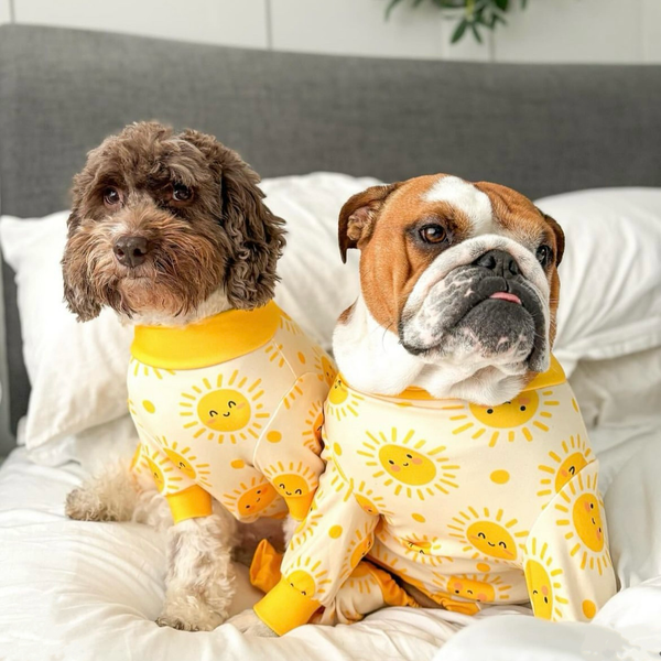 Pyjama pour chien - Soleil