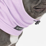Anxiety Calming Dog Earmuff Protector - Purple