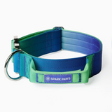 Collar táctico para perros - Lime Wave