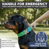 Collar táctico para perros - Lime Wave