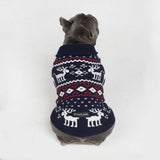 Dasher Blue Dog Sweater