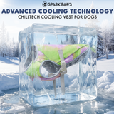 Neon Purple Cooling Vest||size:S,M,L,XL,2XL,3XL,4XL