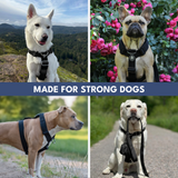 Pettorina per cani Comfort Control No-Pull - Nera