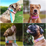 Collar táctico para perros - Glaseado Pastel